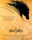 Kara Rüzgar – The Black Stallion 1979 izle