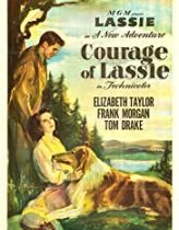 Korkusuz Lassie – Courage of Lassie 1946 izle